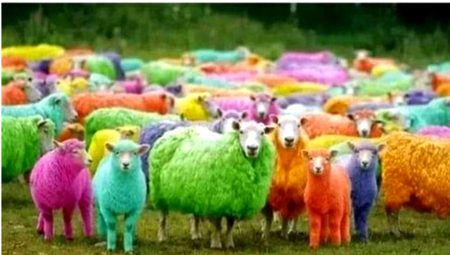 yeah lijiye apki shoping