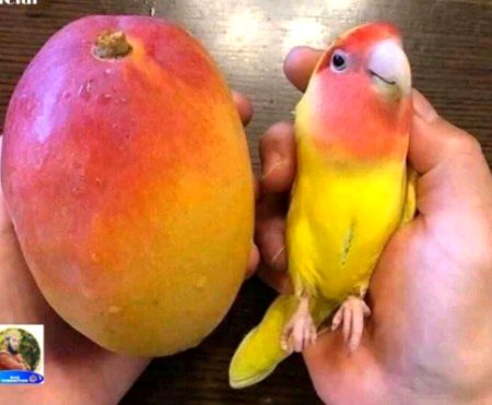 Beautiful Nature image