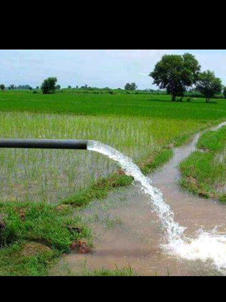 Beautiful nature