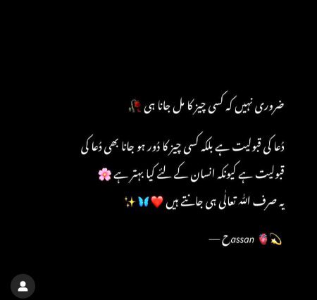 Beshak.... 🌺✨🖤