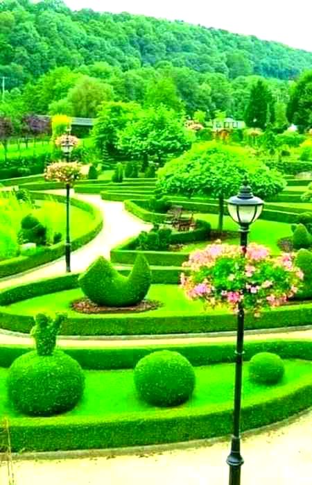 SWEET MORNING