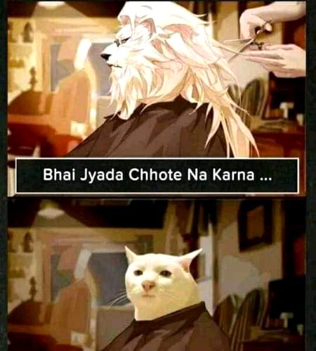 Memes & Satire image