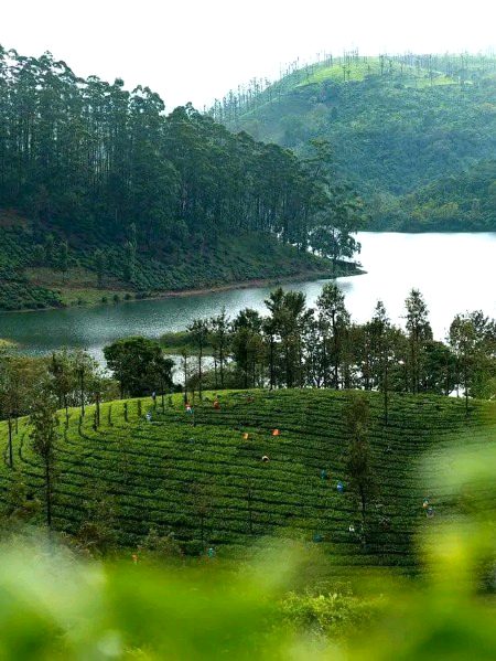 Beautiful Nature image