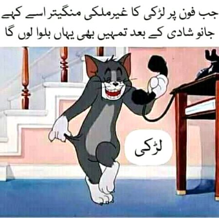 Memes & Satire image