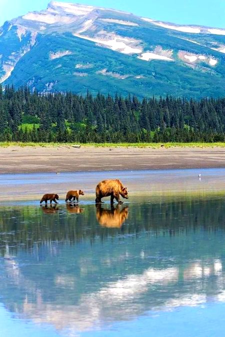 Beautiful Nature image