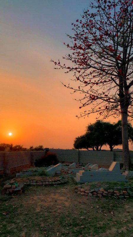 Beautiful Nature image