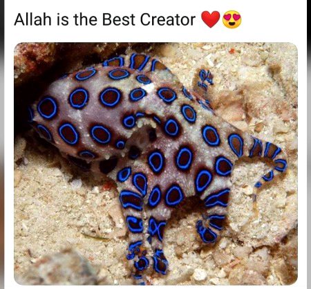Interesting Posts image