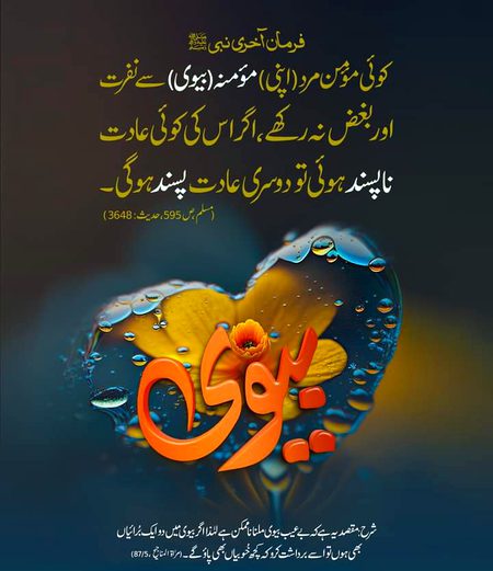 Islamic Quotes image