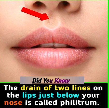 Interesting Posts image