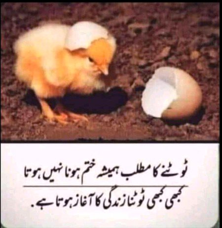 Motivational Quotes image