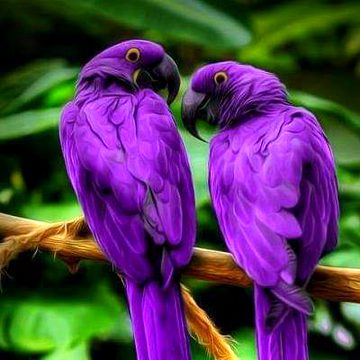 Beautiful Nature image
