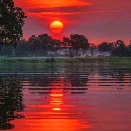 Beautiful Nature image