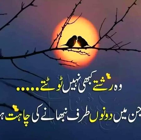 no caption