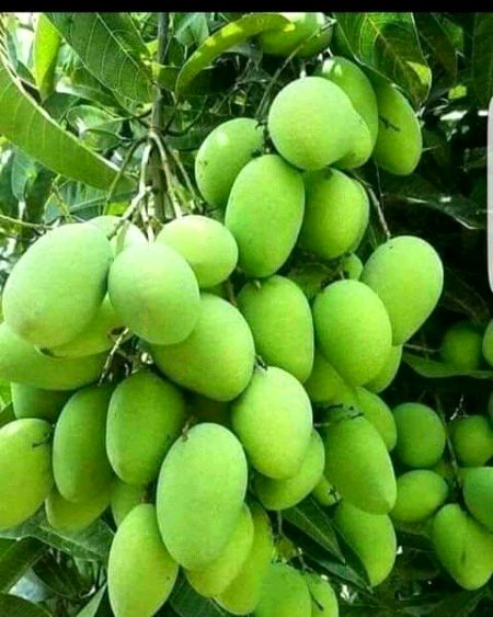 Beautiful Nature image