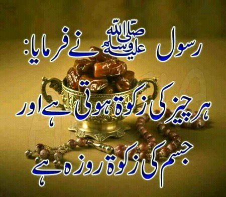 Beshak 🌹🌹
❤❤Aliyan ❤🌹