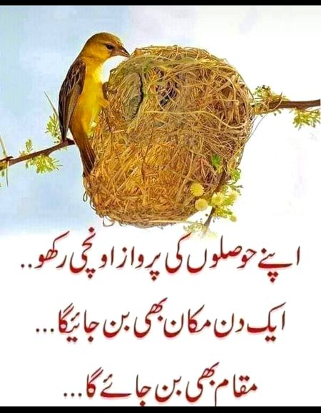 Life Advice image