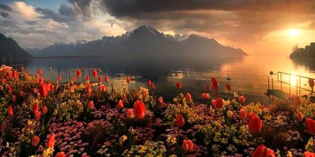 Beautiful Nature image