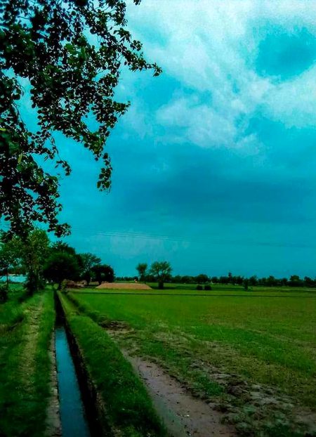 Beautiful Nature image