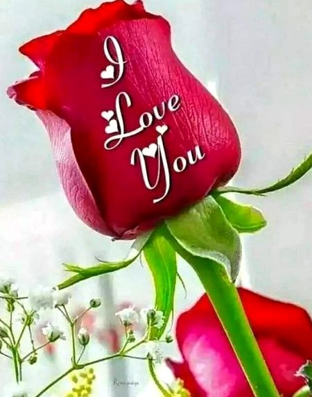 So sweet 🌹🌹💕