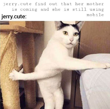 Damadam Roasting image