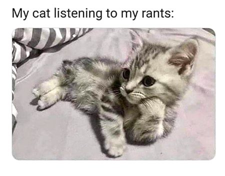 Memes & Satire image
