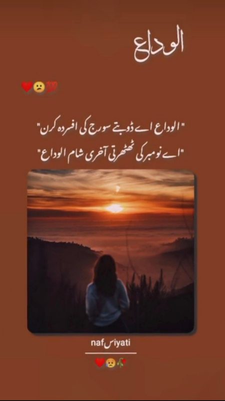 الوداع نومبر۔۔۔🌞