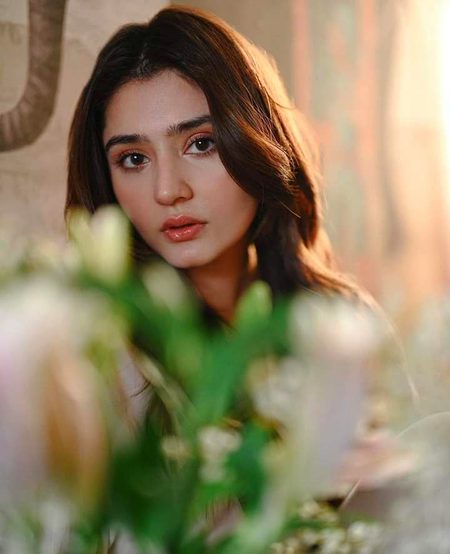 Pakistani Celebs image