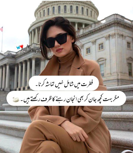 Attitude Quotes image