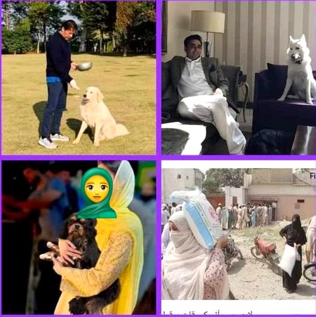 عجب رسم ہے چارہ گروں کی محفل میں🌹
لگا کے زخم نمک سے مساج کرتے ہیں🥀
غریبِ شہر ترستا ہے اک نوالے کو🥲
امیرِ شہر کے کتے بھی راج کرتے ہیں💔