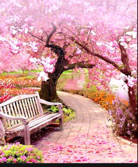 Beautiful Nature image