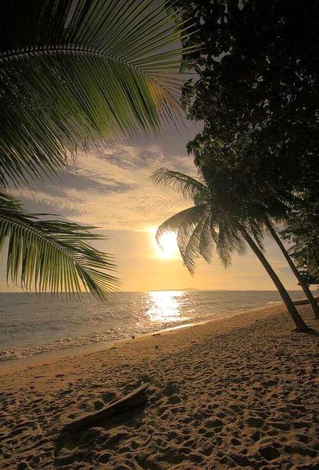 Beautiful Nature image