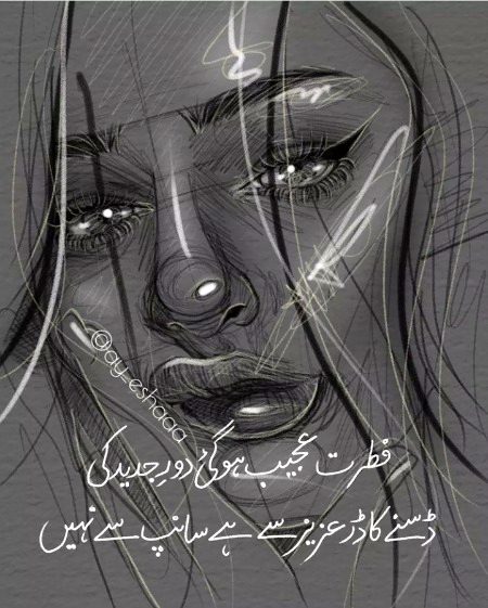 Attitude Poetry image