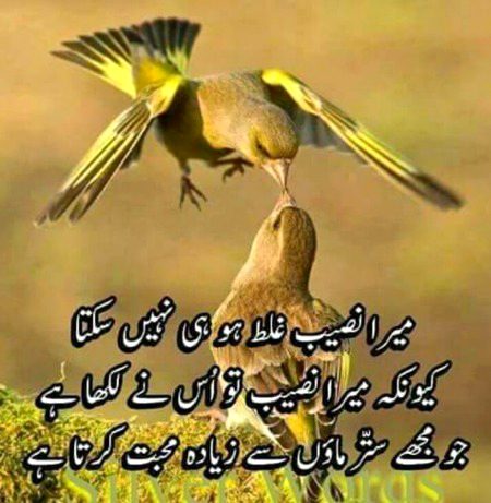 Islamic Quotes image