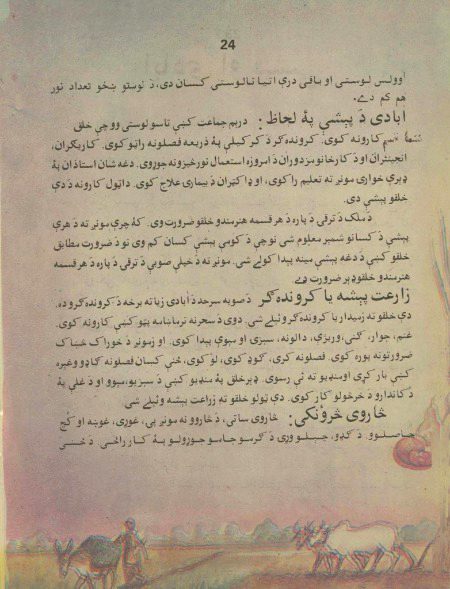 معاشرتی علوم ،