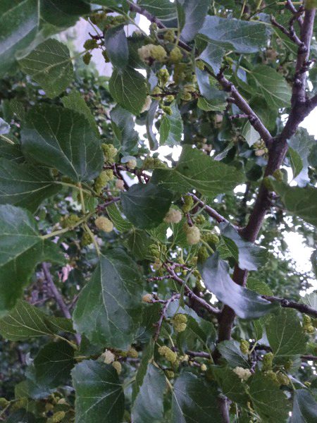 Beautiful Nature image