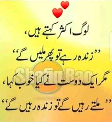 Mra b yahi khna h Saanaam❣️❣️