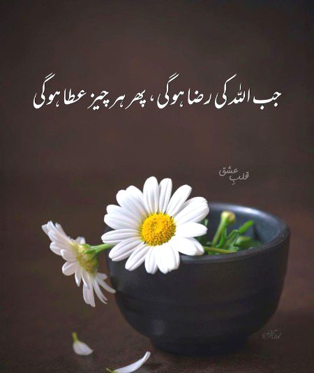 Motivational Quotes image