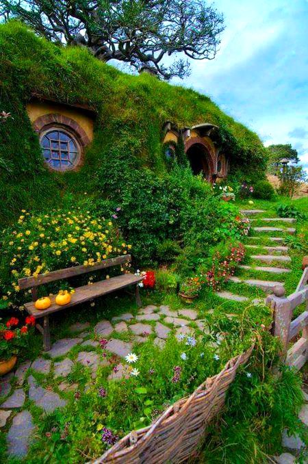 Beautiful Nature image