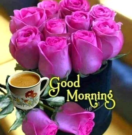 Asalamo  Alaekom  Have A  nice  Day ❤