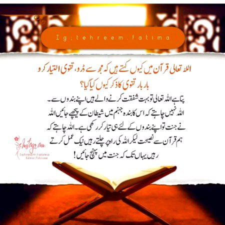 Islamic Quotes image