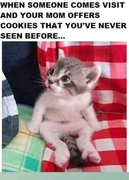 Memes & Satire image