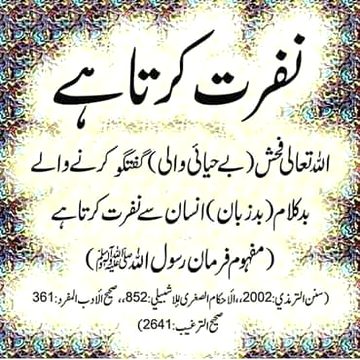 Islamic Quotes image