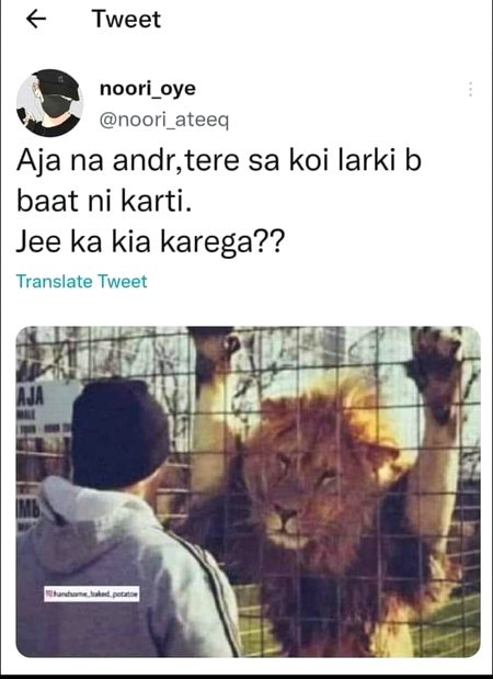 Memes & Satire image