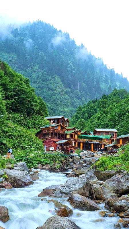 Beautiful Nature image