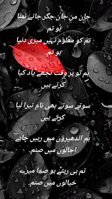 Saanaam ❣️❣️