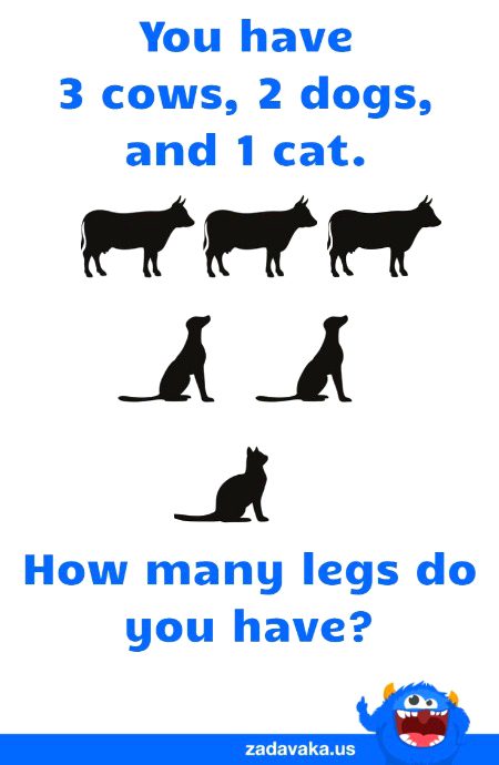 Riddles & Puzzles image