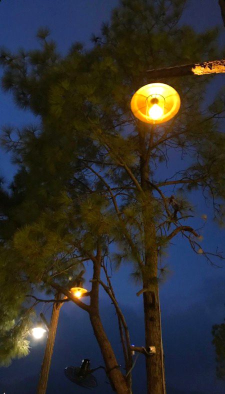 Beautiful Nature image