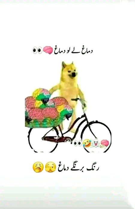 Jokes image