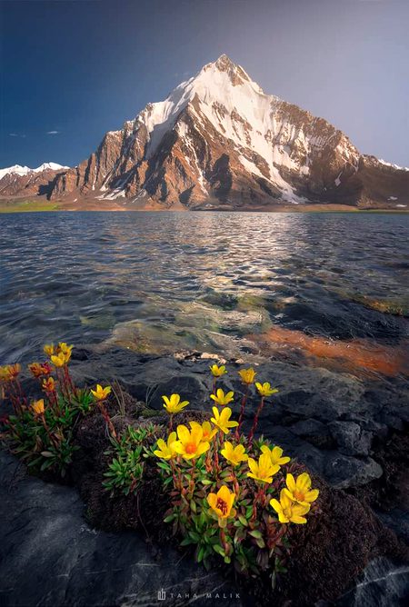 Beautiful Nature image