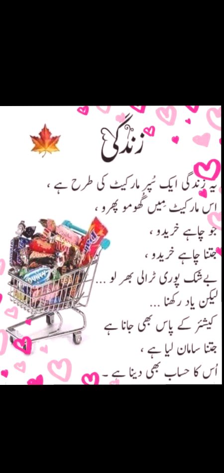 Shahnoor Abbasi✨
